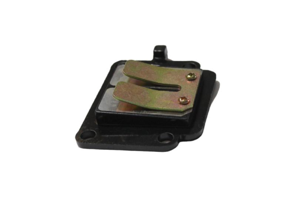 jaszmotor_webshop_visszacsapo_szelep_<br>(membran)_allo_minarelli_2ja_<br>(power_force)