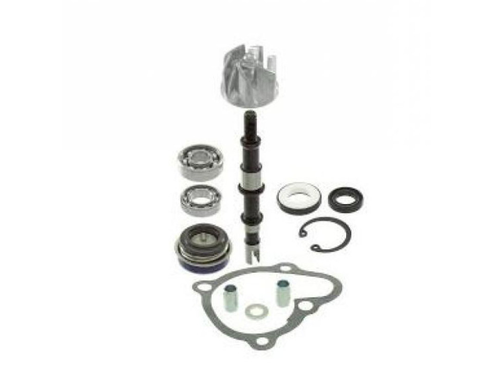 jaszmotor_webshop_vizpumpa_felujito_kymco_xciting_250___300ccm_<br>(rms)