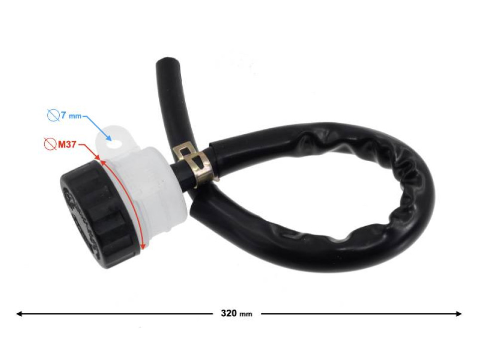 jaszmotor_webshop_fekfolyadek_tartaly_-_moretti