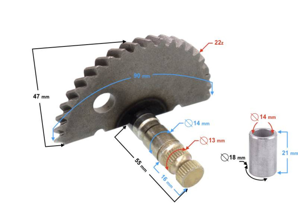 jaszmotor_webshop_berugo_tengely,__fogasiv_barton_21_-_moretti