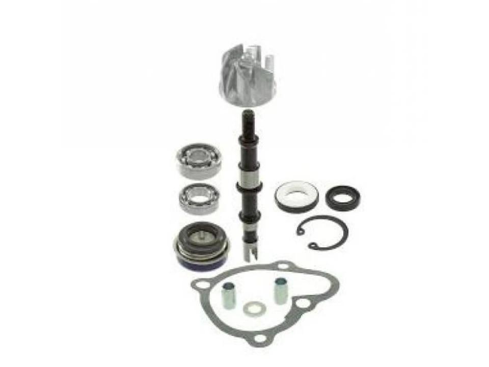 jaszmotor_webshop_vizpumpa_felujito_kymco_xciting_250__300ccm_(rms)