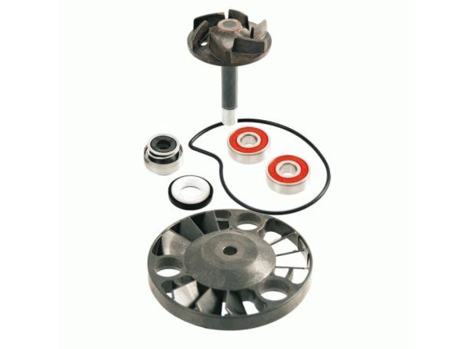 jaszmotor_webshop_vizpumpa_felujito_piaggio_beverly_rst_x8___x9_125ccm-_(rms)