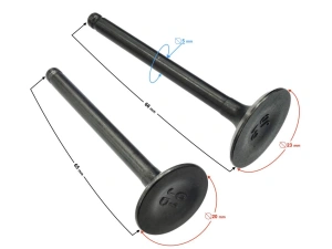jaszmotor_webshop_szelep_szett_130ccm_vizhuteses_mopedhez_-_moretti galéria