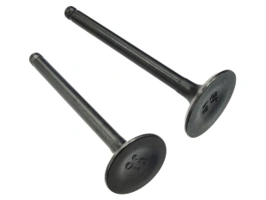 jaszmotor_webshop_szelep_szett_130ccm_vizhuteses_mopedhez_-_moretti galéria