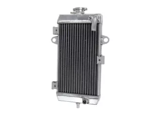 jaszmotor_webshop_vizhuto_yamaha_raptor_700_(2006-12)_-_1pe-we246-00-00 galéria
