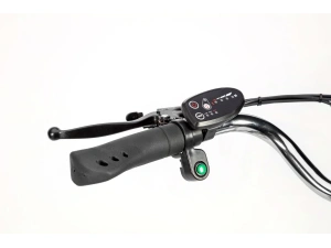 jaszmotor_webshop_z-tech_zt-81a_trailer_6.0_elektromos_tricikli_(250w,_36v,_18ah,_li-ion) galéria