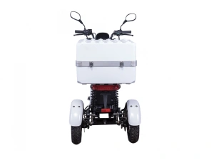 jaszmotor_webshop_z-tech_zt-29d_express_elektromos_robogo_(2x_800w,_60v,_2x_32ah,_li-ion) galéria