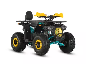 jaszmotor_webshop_barton_raptor_125_gyerek_quad_-_(Új)_-_kek-sarga galéria