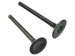 jaszmotor_webshop_szelep_szett_130ccm_vizhuteses_mopedhez_-_moretti galéria