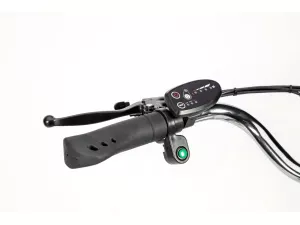 jaszmotor_webshop_z-tech_zt-81a_trailer_6.0_elektromos_tricikli_(250w,_36v,_13ah,_li-ion) galéria