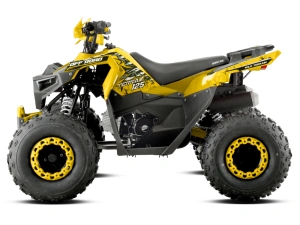 jaszmotor_webshop_barton_terrax_125_gyerek_quad_-_sarga galéria