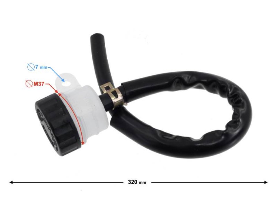 jaszmotor_webshop_fekfolyadek_tartaly_-_moretti